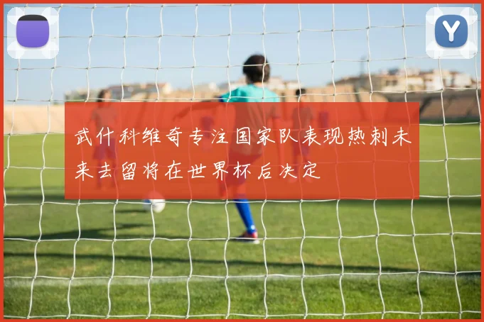 武什科维奇专注国家队表现热刺未来去留将在世界杯后决定