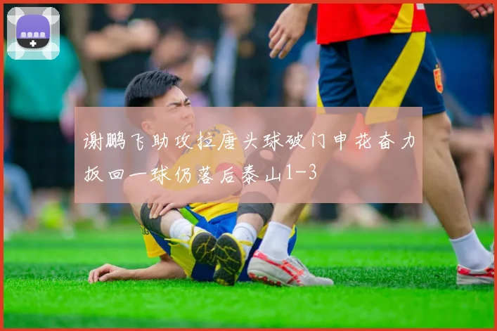 谢鹏飞助攻拉唐头球破门申花奋力扳回一球仍落后泰山1-3